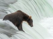 Katmai National Park and Preserve, Alaska