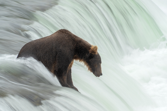 Katmai National Park and Preserve, Alaska