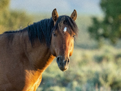Steens Mountain
