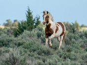 Steens Mountain