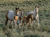 Steens Mountain