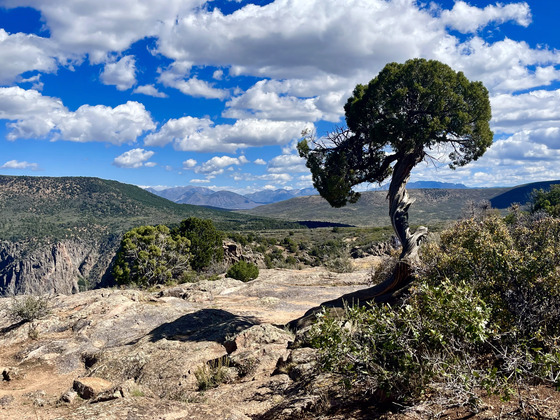 Black Canyon of the Gunnison National Park