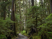 Olympic National Park