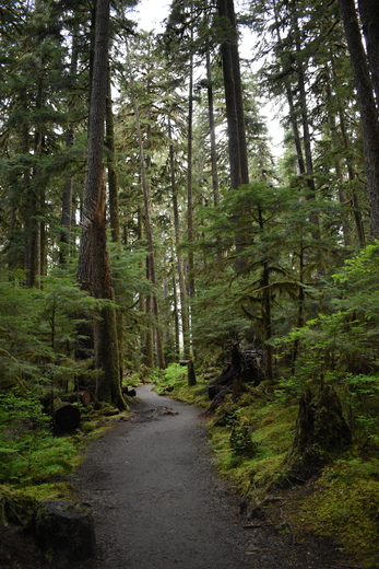 Olympic National Park