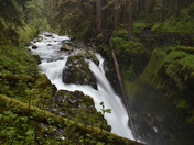 Olympic National Park