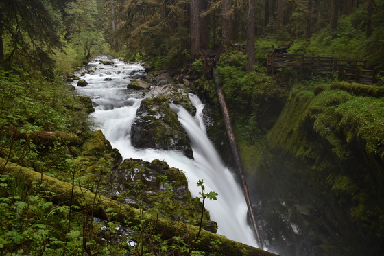 Olympic National Park