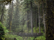 Olympic National Park
