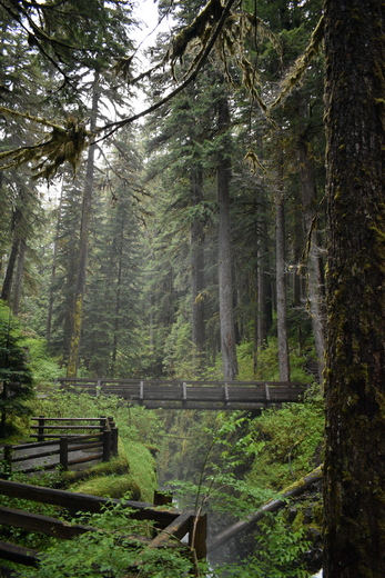 Olympic National Park