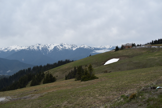 Olympic National Park