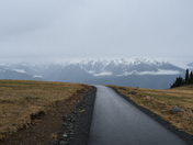Olympic National Park