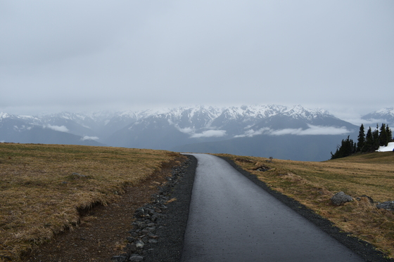 Olympic National Park