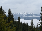 Olympic National Park