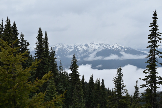 Olympic National Park