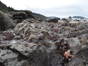 Olympic National Park