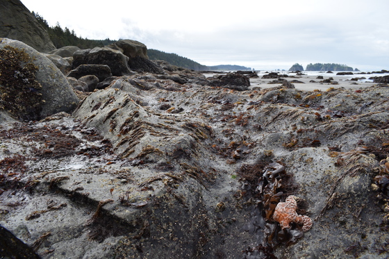 Olympic National Park
