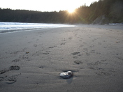 Olympic National Park