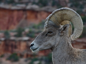 Colorado National Monument