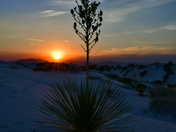 White Sands National Park