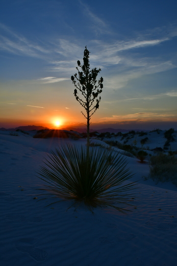 White Sands National Park