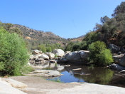 Sequoia National Park