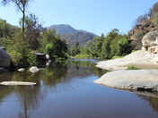  Sequoia National Park