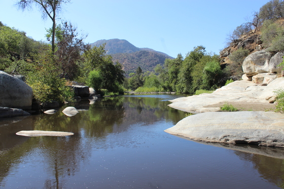  Sequoia National Park