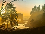 Olympic National Park