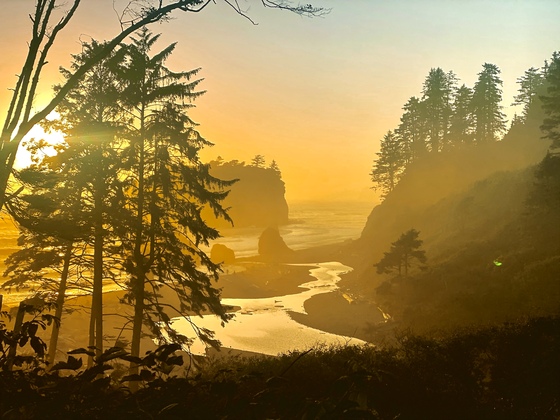 Olympic National Park