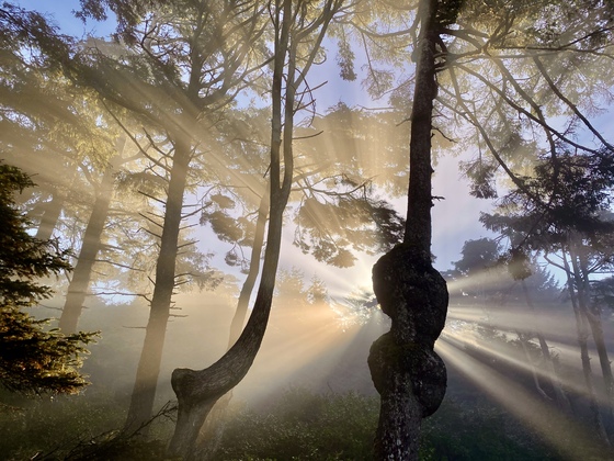 Olympic National Park