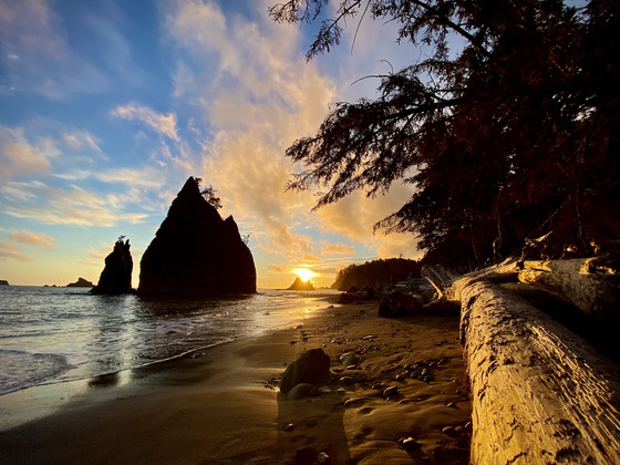 Olympic National Park