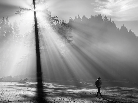 Olympic National Park