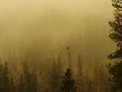 Rocky Mountain National Park