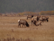 Rocky Mountain National Park