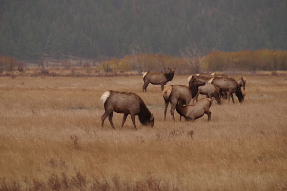 Rocky Mountain National Park