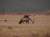 Rocky Mountain National Park