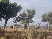 Bandelier National Monument
