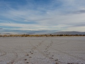 White Sands National Park