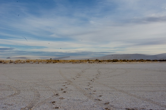 White Sands National Park