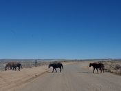 Chaco Culture National Historical Park