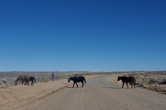 Chaco Culture National Historical Park