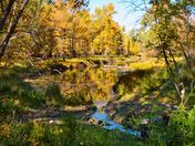 Autumn at Carburn Park