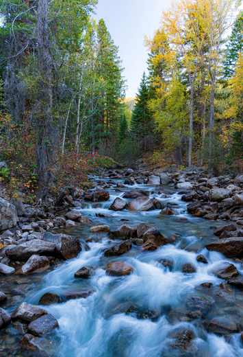 White River National Forest