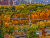 Fall Trees Framing A City Bridge