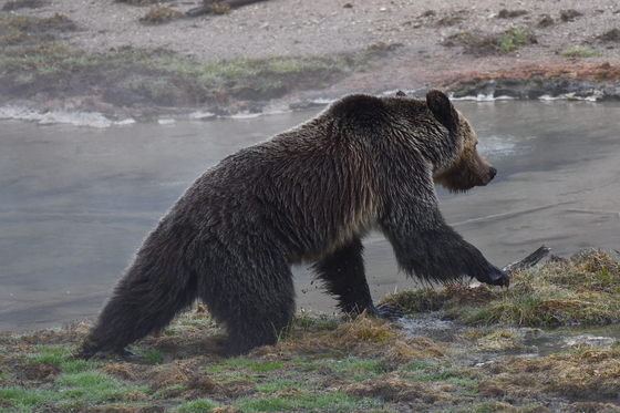 Yellowstone National Park