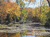 Out in the Park In QB 