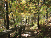 Out in the Park In QB 