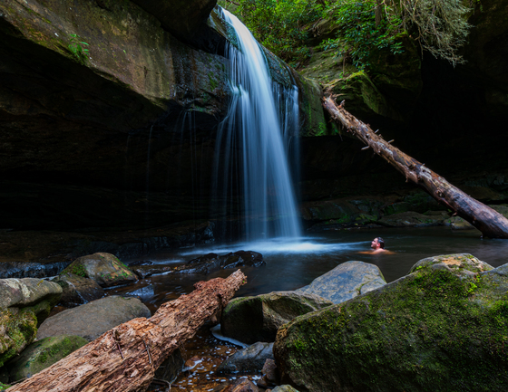 Daniel Boone National Forest