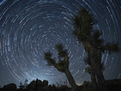 Joshua Tree National Park