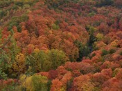 Spencer Gorge with Spencer creek flowing in the middle.