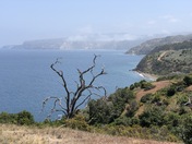 Channel Islands National Park
